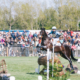 Equestrian Events Sponsorship